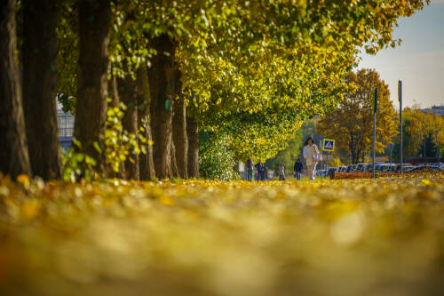 В Татарстане на этой неделе температура ожидается на 2 градуса выше нормы – синоптик