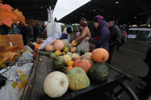 В завершившемся 2025 году в Татарстане в ходе семи весенних и 16 осенних торговых недель на традиционные сельскохозяйственные ярмарки было завезено продукции на общую сумму 2 млрд рублей