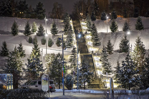 За год страховой фонд семян лесных растений Татарстана увеличился на 72 кг