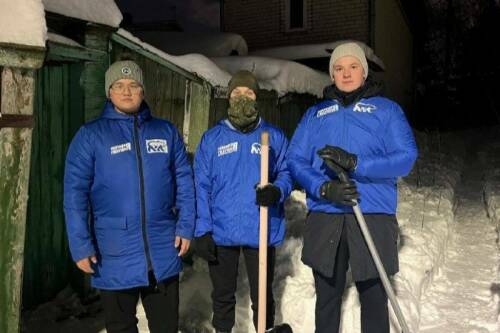 Активисты МГЕР помогли одиноким пенсионерам расчистить дворы от снега