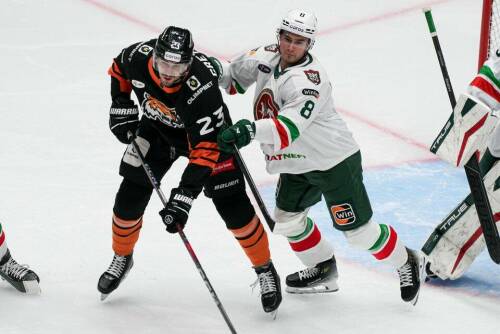 «Ак Барс» сыграет в Хабаровске против «Амура»