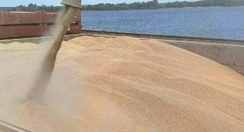 В Татарстане подвели итоги в области безопасности и качества продукции агропромкомплекса