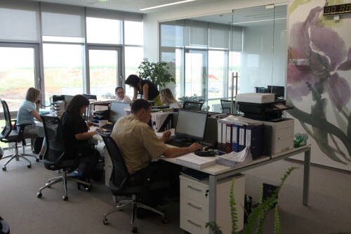 Начальник на работе не вправе повышать голос на подчиненных – юрист