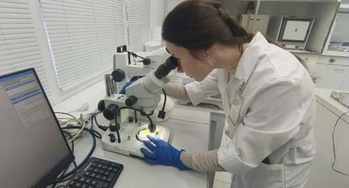 Специалисты Татарстана подтвердили качество листового салата из Ирана