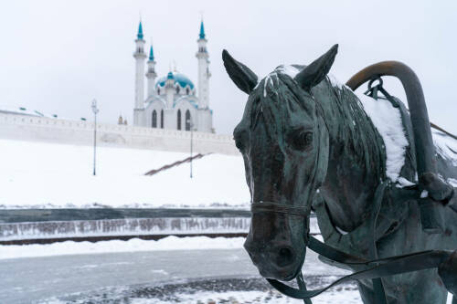 Лошади в городе: где в Татарстане искать символ года, чтобы попросить удачи