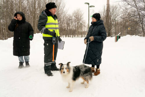 В Татарстане чипировано более 62 тыс. домашних собак