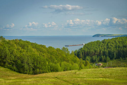 Благодаря изменениям Лесного кодекса Татарстан улучшит санитарное состояние лесов