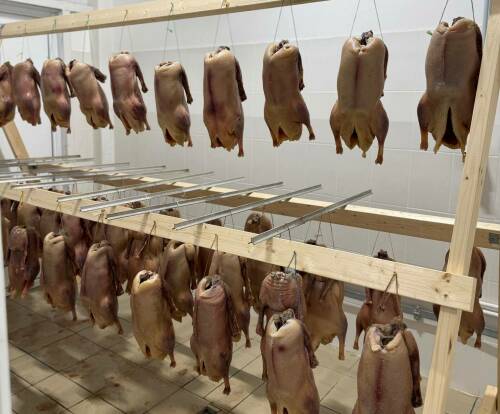 В деревне Высокогорского района РТ запущено производство национальных деликатесов