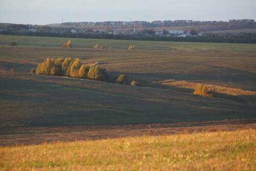 Земельный надзор в Татарстане в 2025 году охватил почти 8% сельхозземель