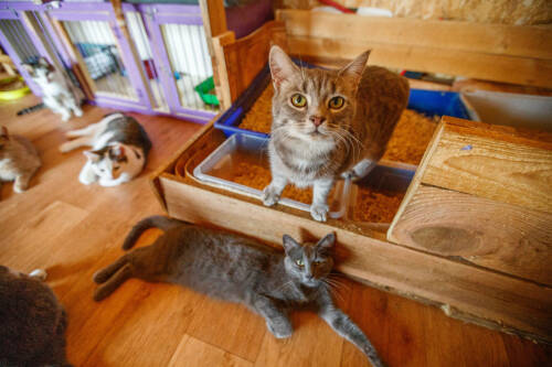 Вычет за благотворительность: как его могут получить жители Татарстана