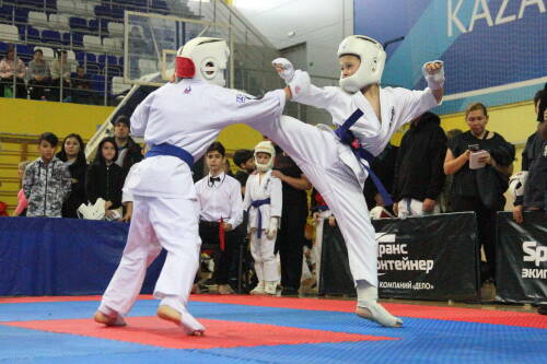 Казань примет чемпионат ПФО по киокусинкай в рамках фестиваля «Время выбрало нас»