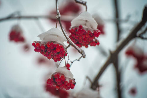 Метель, гололед и порывистый ветер прогнозируют в Татарстане 8 января