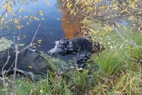 Неизвестного мужчину нашли мертвым на болоте у автосалона в Казани