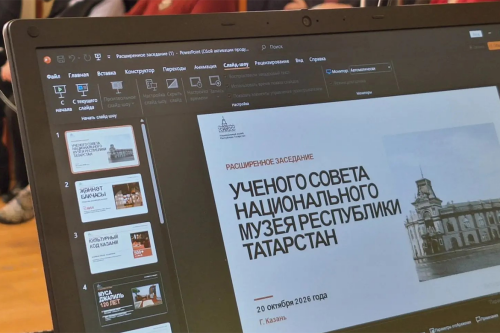 По примеру Абу-Даби: Аюпова хочет вывести Нацмузей РТ на федеральный уровень