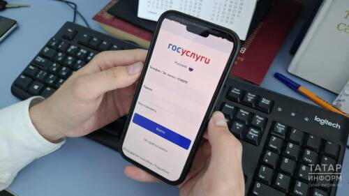 В этом году на &laquo;Госуслугах&raquo; появится &laquo;зеленая кнопка&raquo; для отмены ограничений, связанных с защитой от мошенников