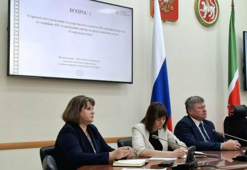 В Татарстане установили размер возмещения затрат НКО на услугу «Социальная няня»