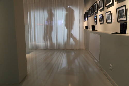 От субкультуры помощи к культуре: Музей ИЗО открыл фотовыставку «Приют человека»