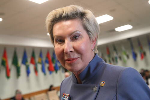 Павлова: Обсуждается возможность отправки студенческих стройотрядов в новые регионы