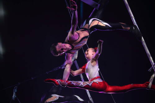 Казанский цирк присоединился к акции «Культура поMAХимуму»