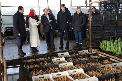 Депутат Топилин посетил Апастовский район и оценил работу местного тепличного хозяйства