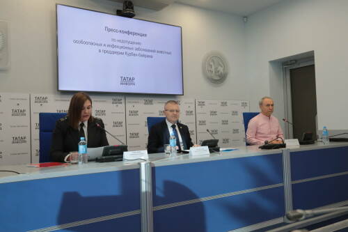 После прошлого Курбан-байрама из Татарстана вывезли 87 тонн отходов