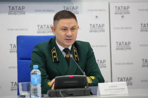 В лесной отрасли Татарстана трудятся более 2,3 тыс