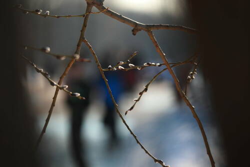 В Татарстане ожидается переменная облачность и до +13˚ днем