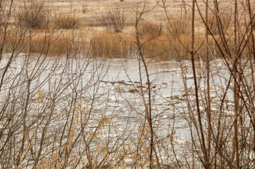 В Казани половодье грозит прежде всего Советскому, Кировскому и Приволжскому районам