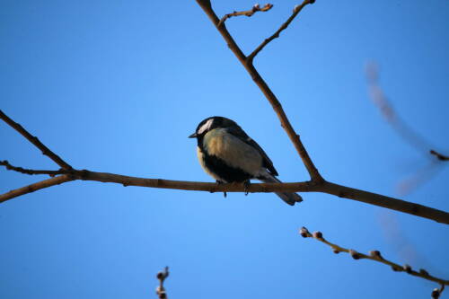 В Казани продолжается обновление температурных рекордов
