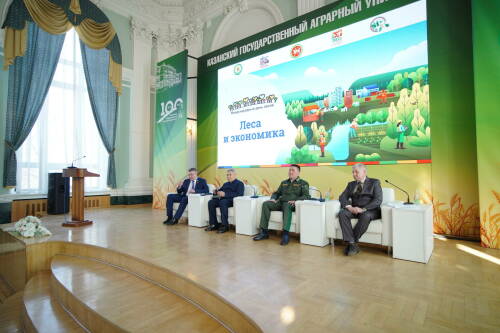 Плата за лес: Татарстан нарастил доходы от использования природных ресурсов