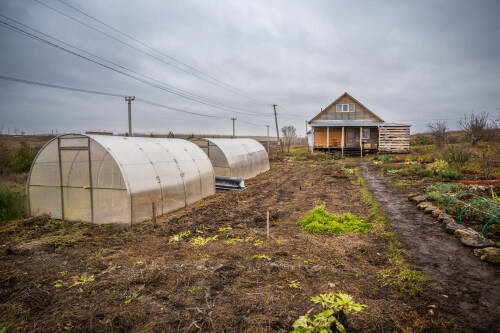 Садоводам дали советы, как привести свои участки в порядок весной