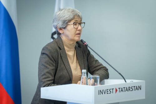 Экономгеограф Зубаревич назвала пять факторов экономической успешности Татарстана