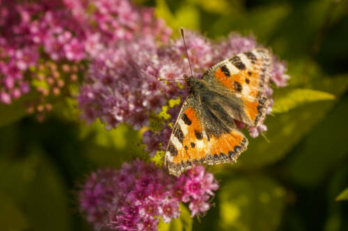 Гидрометцентр представил прогноз погоды в Татарстане на апрель-сентябрь 2026 года