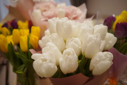 Экономист посоветовал, как избежать переплаты при покупке цветов к 8 Марта