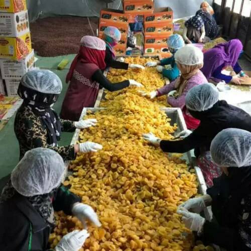 Афганистан готов поставлять овощи и фрукты в Россию вместо иранских