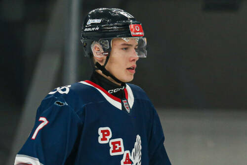 Нападающий Соколов из «Нефтехимика» признан лучшим новичком недели в КХЛ