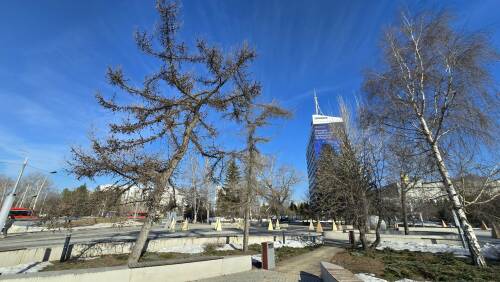 Начало апреля в Татарстане окажется на шесть градусов теплее нормы