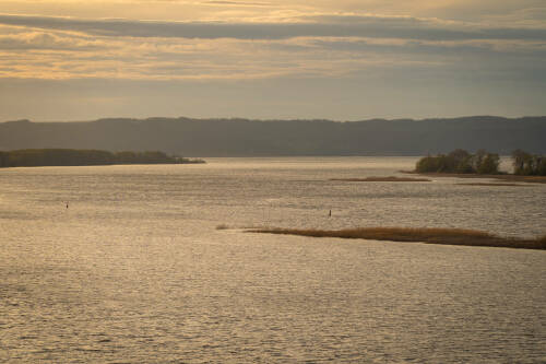 Ученый АН РТ: Прохождение нереста на Волге зависит от баланса интересов регионов
