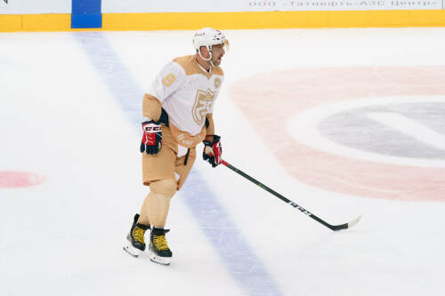 Овечкин забрал клюшку ассистента своего тысячного гола в НХЛ