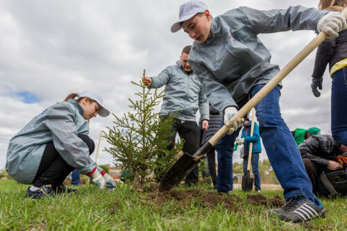 Ольга Павлова предложила вернуть в школы общественно полезный труд
