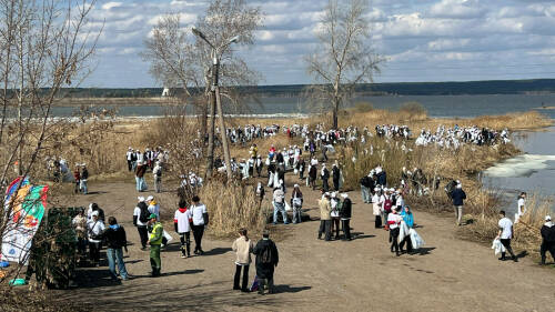«Вода России»: министры природоохранных ведомств высадили у Камы 37 деревьев