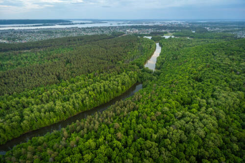 В республике с 20 апреля по 20 июня 2026 года пройдет весенний этап природоохранной акции &laquo;Чистые леса Татарстана&raquo;, направленной на реализацию целей национального проекта &laquo;Экологическое благополучие&raquo;, сообщили организаторы