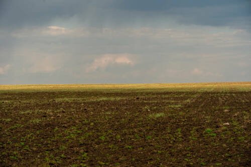 Аграрии Татарстана выполнили 40% плана по подкормке озимых культур