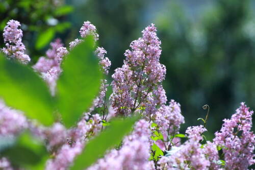 Юрист Южалин напомнил, что 30 апреля и 8 мая станут укороченными рабочими днями