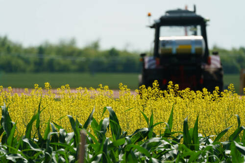Мелиораторы из Татарстана предложили меры поддержки плодородия сельхозземель