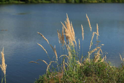 Минэкологии РТ назвало причины исчезновения трех тысяч озер с карты Татарстана