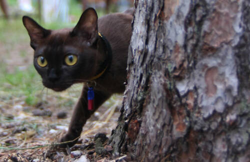 «Случайностей у Бога не бывает никогда»: батюшка о знаках, которые нам даются свыше