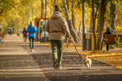 Эксперты РТ обсудили значение участия граждан в голосовании за объекты для благоустройства