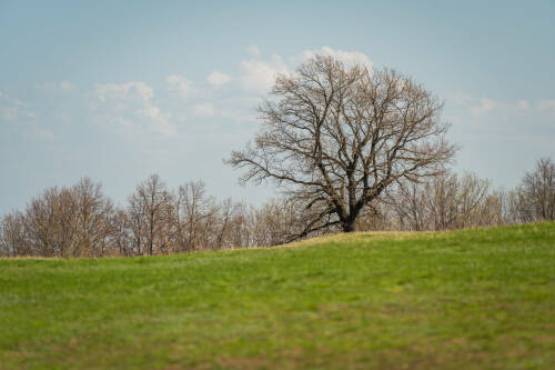 В апреле татарстанцев ждет короткая рабочая неделя