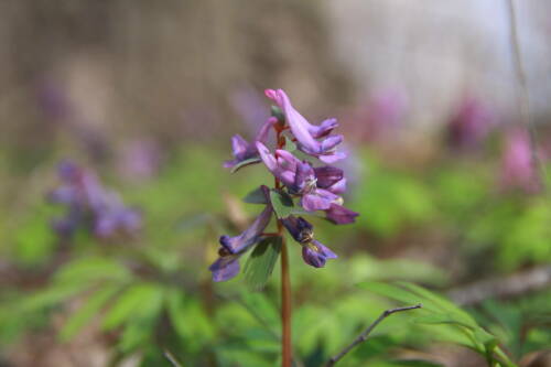 Небольшой дождь и до +18 градусов прогнозируют в Татарстане 9 апреля